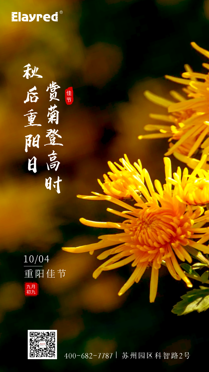 The Double Ninth Festival today | After the autumn Double Ninth Festival, chrysanthemum climbing time!